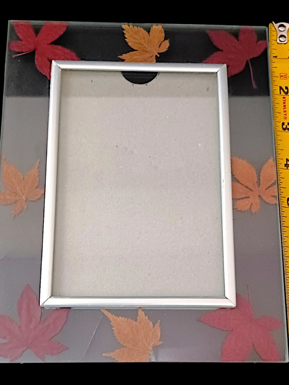 Vtg Dried Pressed Leaf Picture Photo Frame Lead Glass‎ Maple Leaves Farmhouse